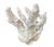 Late 20th Century Large Natural White Coral Reef Specimen #4 For Sale - Image 5 of 9