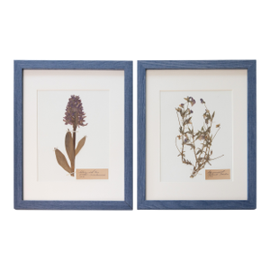 Custom Framed Antique Swedish Botanical Herbariums, Set of 2