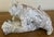 Bavent Terracotta French Pottery Dogs With Glass Eyes, C. 1900 For Sale - Image 4 of 11