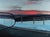 And Belonged to Otherwise Memory by Shelli Langdale | Oil on gallery panel Landscape with a horse at sunset. For Sale
