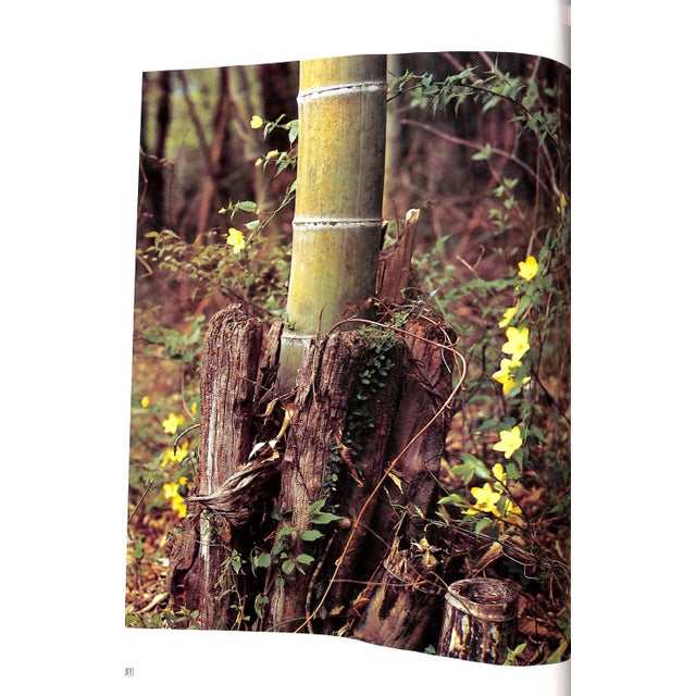 Paper "The World of Bamboo" 1981 Takama, Shinji [Photographed By] For Sale - Image 7 of 12