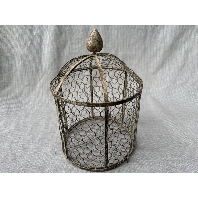 Vintage Indoor Wire Birdcage Garden Cloche For Sale - Image 13 of 17