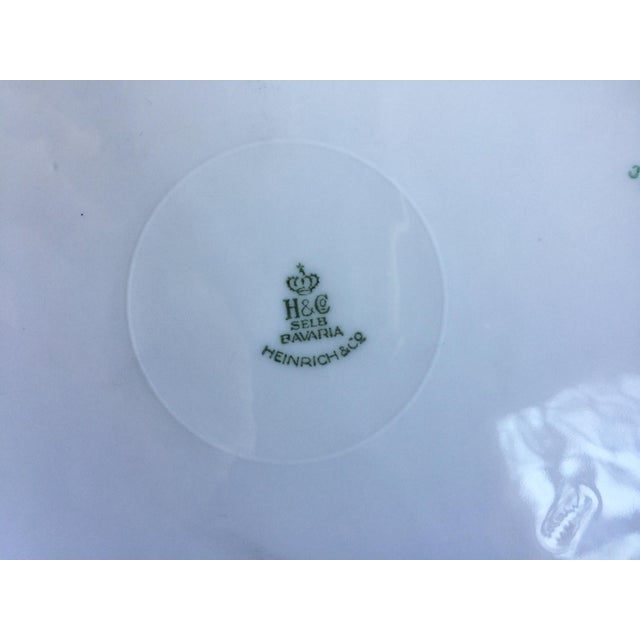 1900 - 1909 Antique Black Striped Floral Cabinet Plates - Set of 12 For Sale - Image 5 of 5