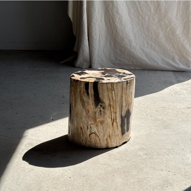Side Table in Petrified Wood with Black Spots, 1980s For Sale - Image 6 of 18