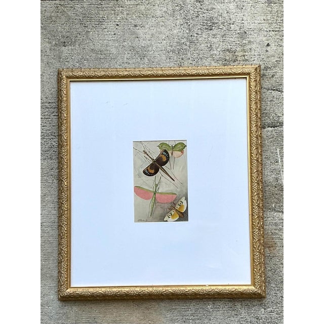 Victorian Vintage Botanical Insect Study in Gilt Frame For Sale - Image 3 of 14