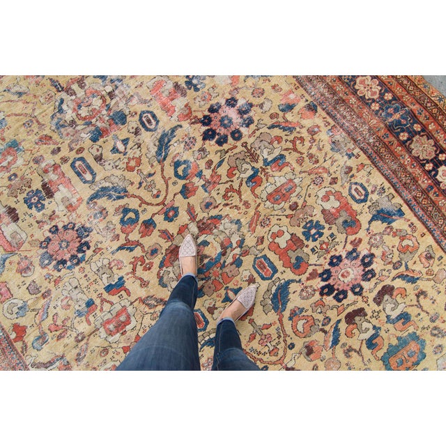Striking and gorgeous, this hand-knotted large-sized rug details an allover floral design on a unique and rare Macarron...