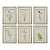 Vintage Botanical Prints -Framed Set of 6-Authentic 1953 Prints For Sale