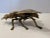 1960’s Brass Fly Ashtray For Sale - Image 4 of 7