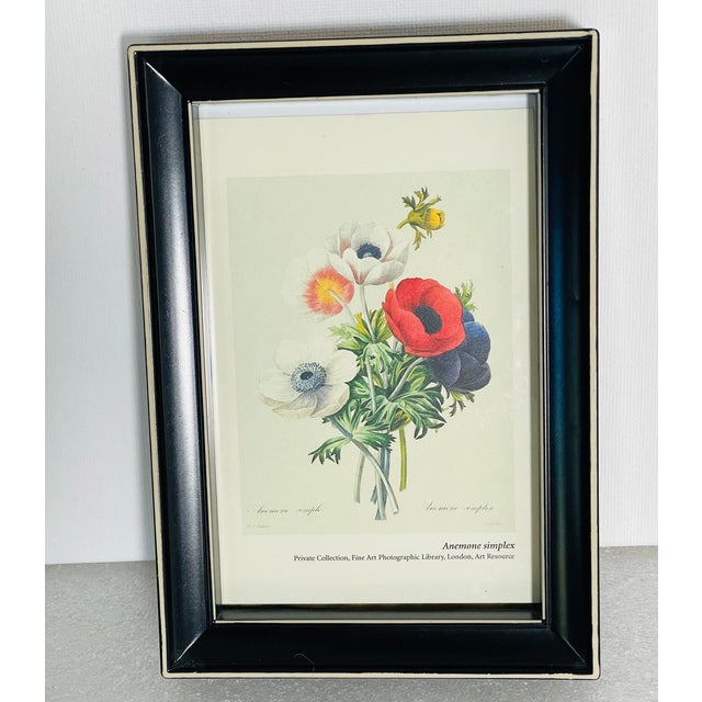 Traditional 1970s Mini Chromolithograph P.F.Redoute Bouquet Anemones in Black Frame For Sale - Image 3 of 3