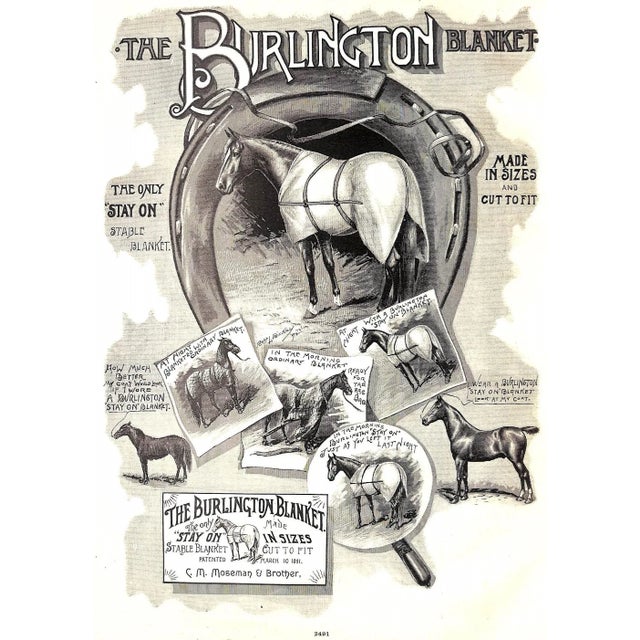 "Mosemans': Illustrated Guide for Purchasers of Horse Furnishing Goods" 1895 Moseman, c.m. For Sale - Image 11 of 18