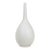 20th Century Asian Matte Finish Porcelain Bisk Flask Vase For Sale