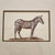 Elegant vintage style framed art print depicting a detailed profile of a zebra, styled after classic natural history...