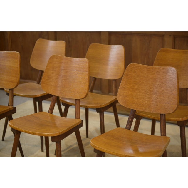 Vintage Chairs in Oak, 1960s, Set of 6, in Very Good conditions. Designed 1960 to 1969