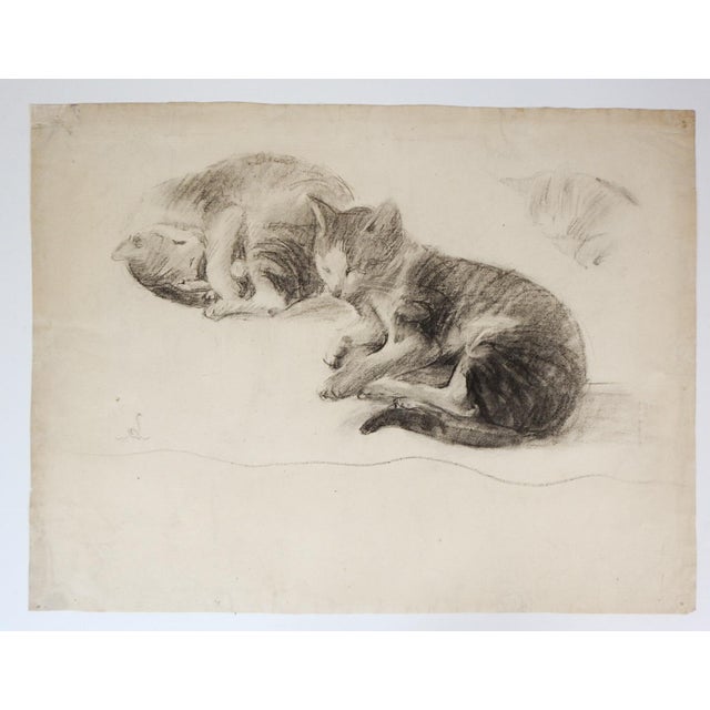 Late 19th Century Late 19th Century Cat Study Drawing For Sale - Image 5 of 5