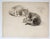 Late 19th Century Late 19th Century Cat Study Drawing For Sale - Image 5 of 5
