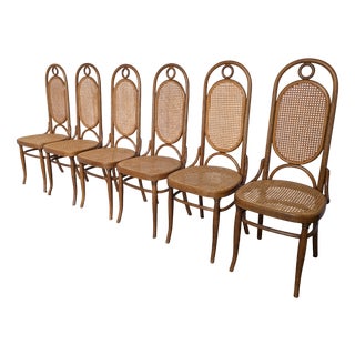 Vintage Bentwood Cane Dining Chairs, 1970s, Set of 6 For Sale