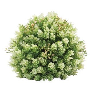 Foliage Half Orb (Set of 2) For Sale
