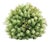 Foliage Half Orb (Set of 2) For Sale