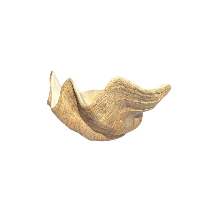 Large Faux Giant Clam Shell Centerpiece Bowl For Sale In Los Angeles - Image 6 of 16