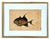 English 18th Century Framed Engravings by Mark Catesby, Set of Four Fish For Sale - Image 3 of 11
