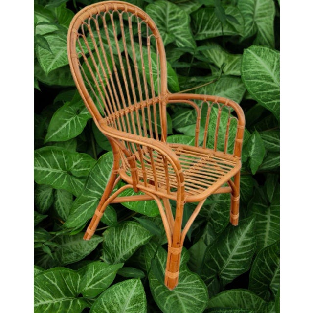 Wood Vintage Franco Albini’s Style Rattan Lounge Chairs - Set of 4 For Sale - Image 7 of 9