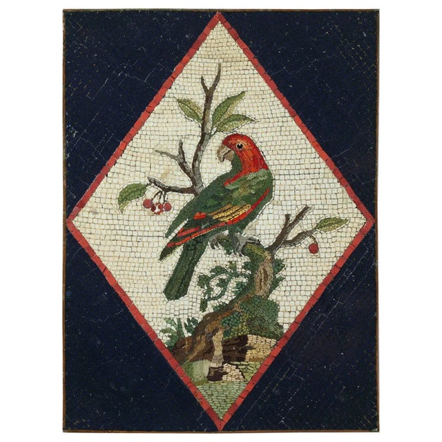 Late 18th Century Micromosaic with Parrot on a Branch in the style of G.Raffael, 1790s For Sale - Image 11 of 11