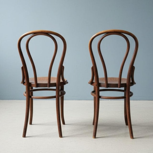 1920s Bentwood Chairs attributed to Thonet (Fischel), 1920s, Set of 2 For Sale - Image 5 of 7