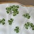 Vintage English Bone China Shamrock Decorative Dessert Plate For Sale - Image 9 of 12