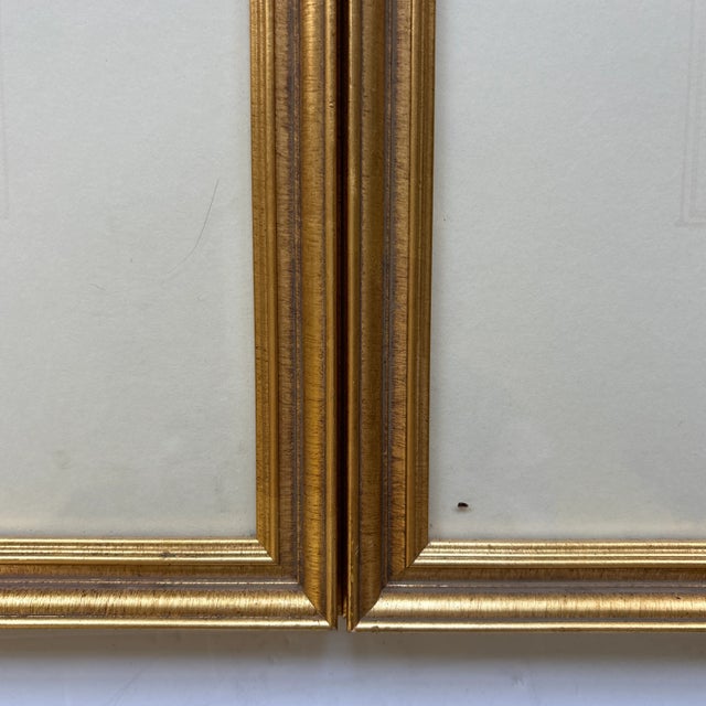 Early 20th Century Pair of Botanical Prints. Matted and Framed. For Sale - Image 4 of 7