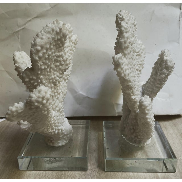 Coastal Pair Faux Coral White Thick Finger Mounted on Glass Decorative Objects For Sale - Image 3 of 12