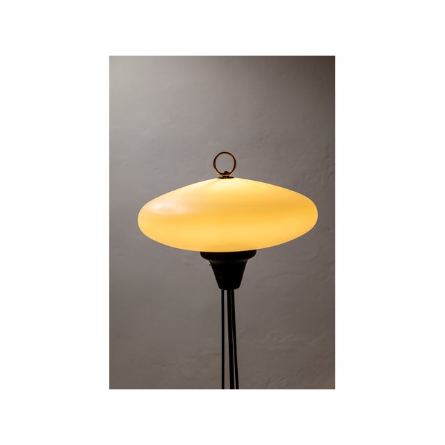 Mid-Century Floor Lamp in Opal Glass, 1950s For Sale - Image 6 of 7