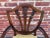 Brown Antique Shield Back Mahogany Carved Dining Chairs- Set of 5 For Sale - Image 8 of 11