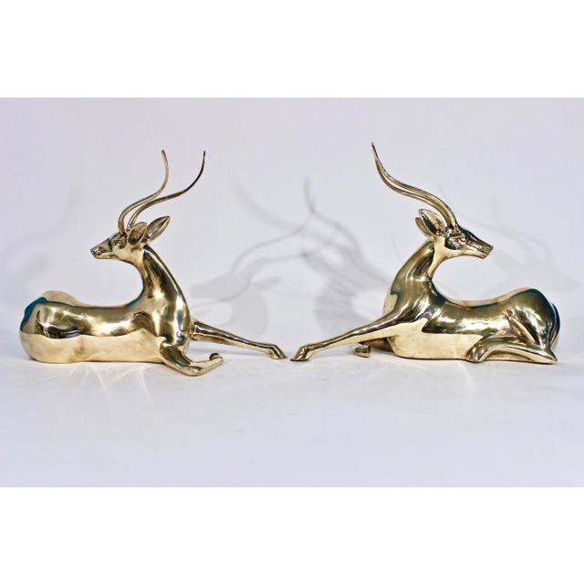Oversize Pair of Solid Brass Impalas For Sale - Image 11 of 11