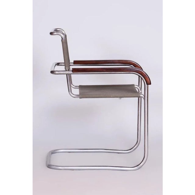 1930s Bauhaus Armchair in the style of Marcel Breuer for Thonet, Czechia, 1930s For Sale - Image 5 of 9