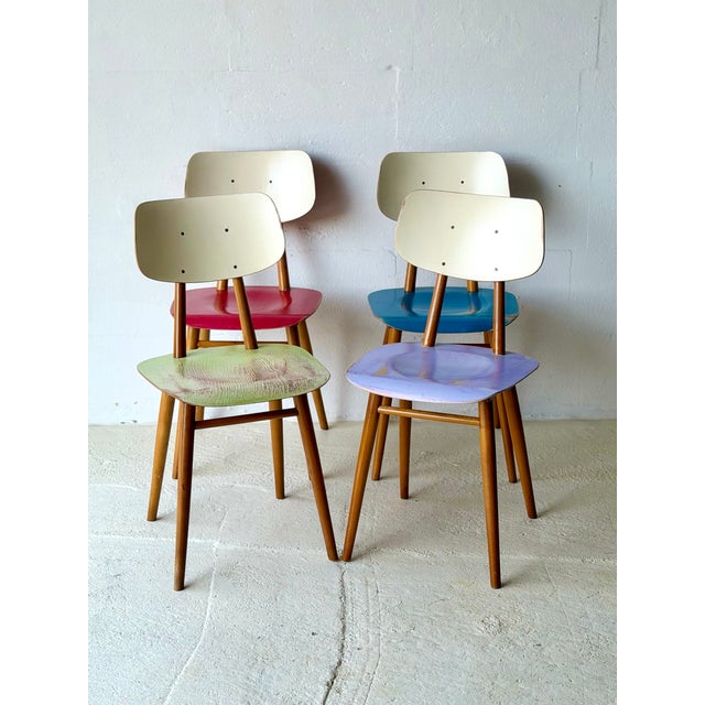 A 1960s ash wood TON chair with a seat height of 44.5 cm. While the overall color is coordinated, the red and purple seat...