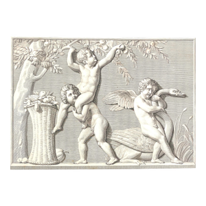 Cupid With a Swan and Boys Picking Fruit Antique Engraving