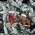 Bring playful charm to your holiday decor with these Plush Ski and Snowboard Dog Ornaments. Featuring festive red and...
