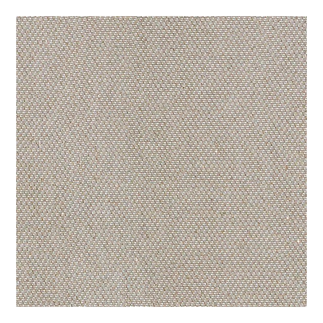 Sample - Schumacher Giorgio Sheer Fabric in Platinum For Sale