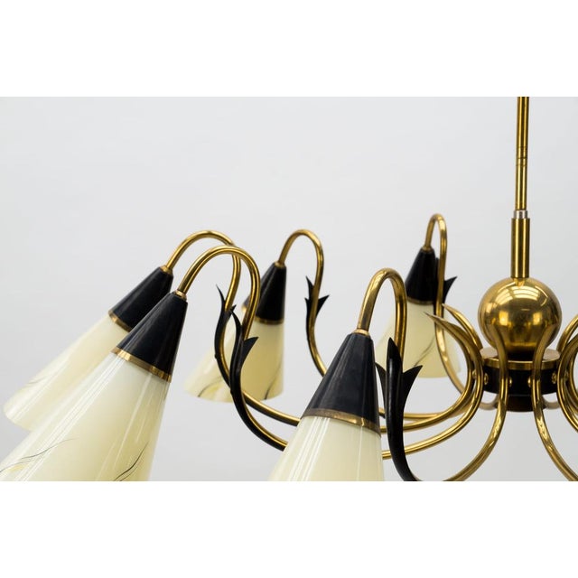 Italian Brass & Glass Sputnik Chandelier with 10 Lights, 1950s For Sale - Image 10 of 15