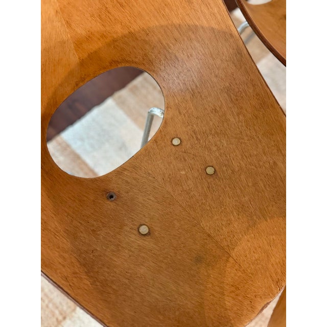 A Set of 8 Mid Century Modern Italian “Medea” Chairs, Designed by Vittorio Nobili for F.lli Tagliabue, Circa 1950s. Not Markd. For Sale - Image 11 of 12