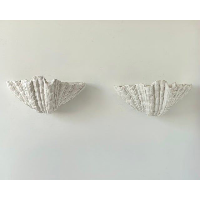 Vintage Plaster Seashell Wall Sconces attributed to S. Roche, France, 1920s, Set of 2 For Sale - Image 9 of 9
