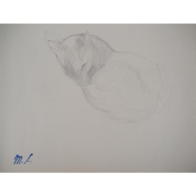 Marie LAURENCIN sleeping cat Original pencil drawing Signed with the artist's stamp On paper 13.5 x 14.5 cm Very good...