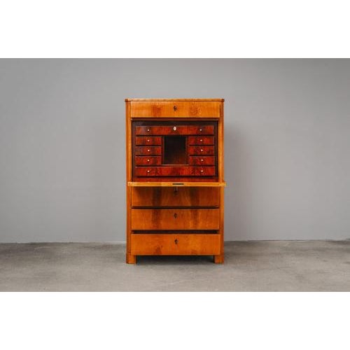 Biedermeier Standing Secretaire in Mahogany For Sale - Image 4 of 18