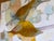 “Thrashers and Flowers” a Fun Bird Painting by LWren Walraven For Sale - Image 11 of 16