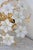 Grace Kelly, Delicious Murano Ceiling Light White Flowers, 1980 For Sale - Image 6 of 16