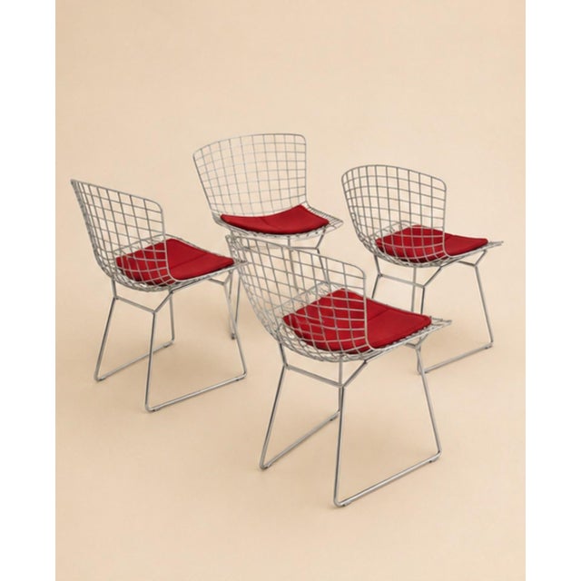 Wire Chairs by Harry Bertoia for Knoll Int., 1970s, Set of 4 For Sale - Image 6 of 9