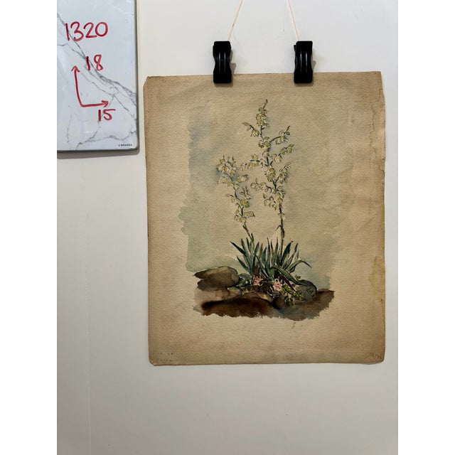 Green Henry Emil Salloch Original Watercolor on Paper Desert Landscape With Flowering Yucca Plant, 1939. For Sale - Image 8 of 8
