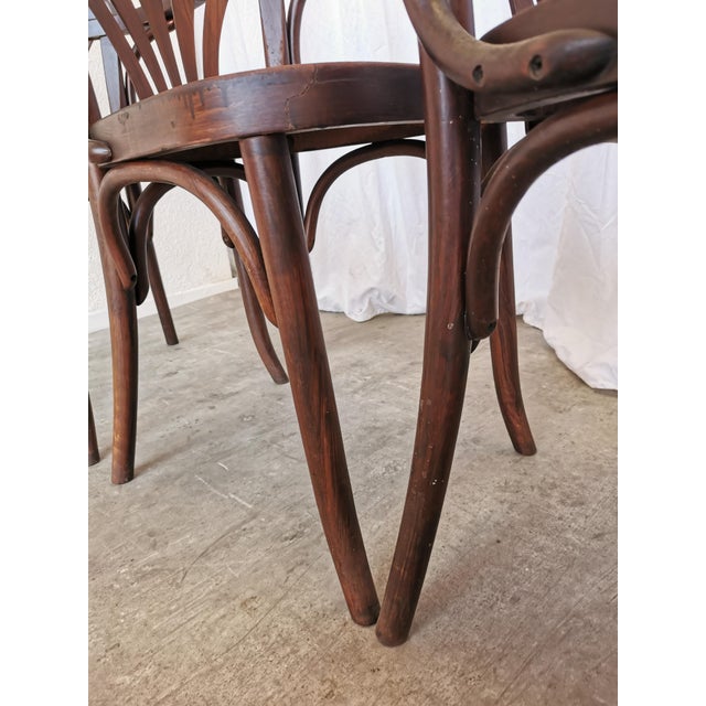 Mid-Century Bentwood Dining Chairs, 1970s, Set of 4 For Sale - Image 18 of 18