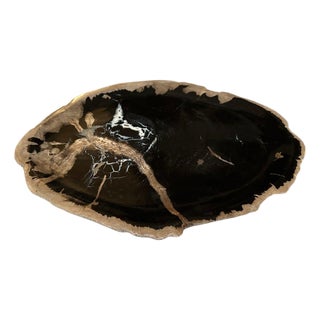 Andrianna Shamaris Petrified Wood Shallow Dish For Sale