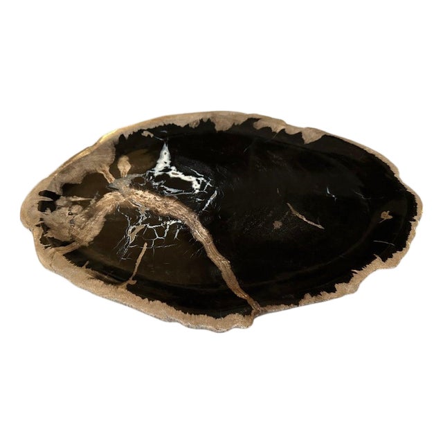Andrianna Shamaris Petrified Wood Shallow Dish For Sale